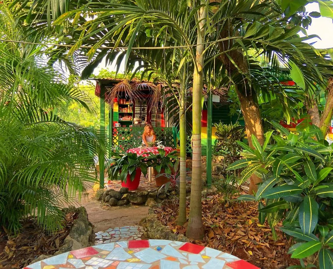 Hostel Judy House Cottages And Rooms Negril Jamaika