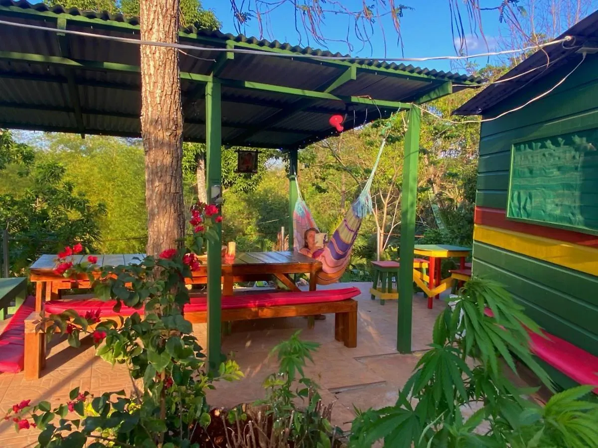 Hostel Judy House Cottages And Rooms Negril